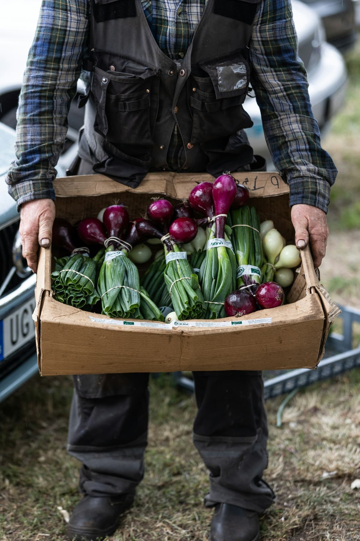 Une caisse de légumes du jour